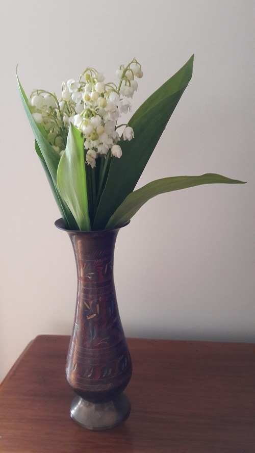 Lily of the valley May 1 2017